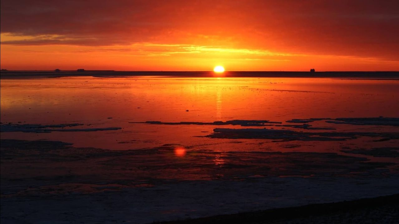 AreaSummer5KM AreaSummer5KM